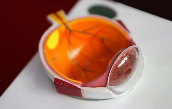 Shinagawa_Blog Piece Mockup_July 4-08